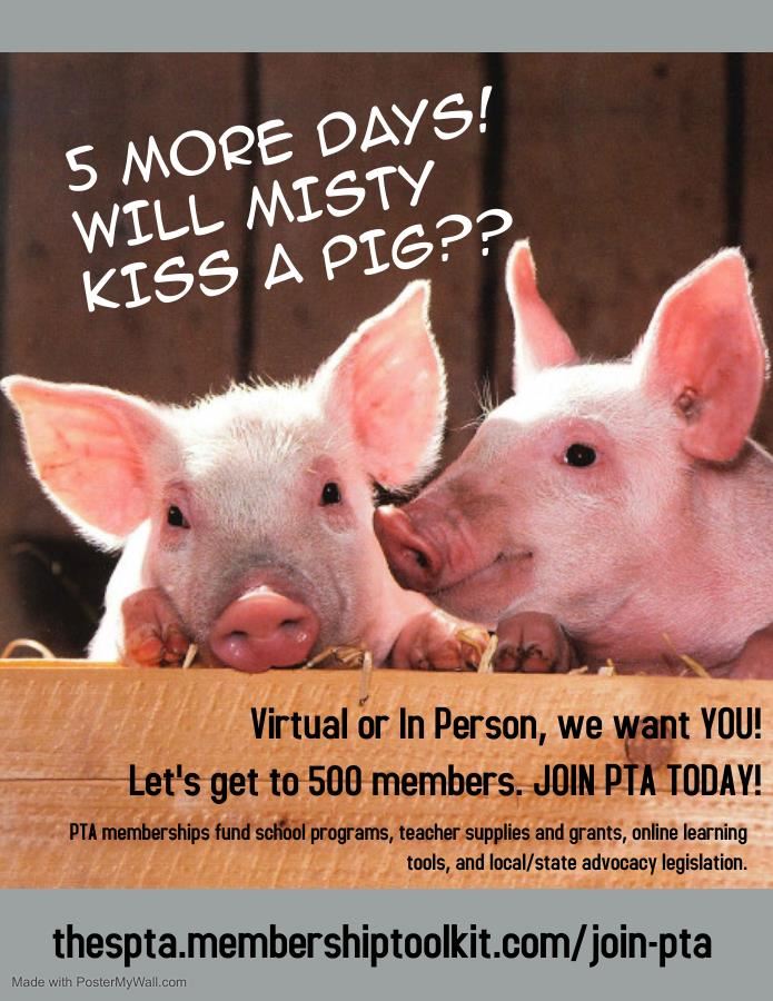 pig pig